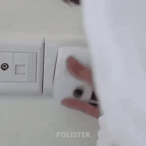 Sistem ultrasonic pentru protectia casei împotriva dăunătorilor